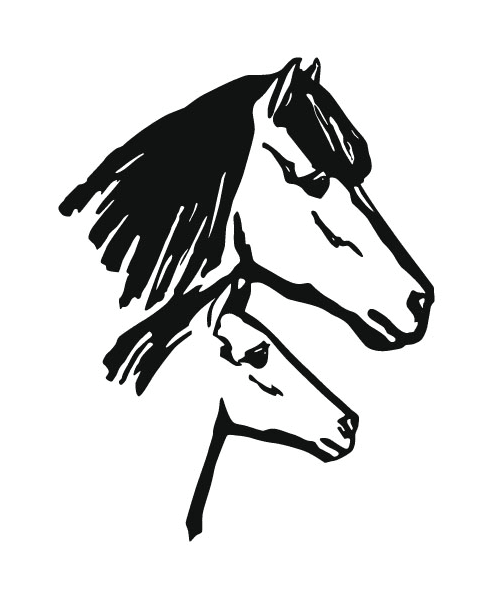 Footer Logo
